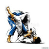 Klicken um zu vergrößern Afterwork-Lehrgang - Bodentechniken erweitern mit BJJ